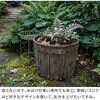 EBP-24-2P-DBR バレルプランター 幅24/30cm FRP製 住まいスタイル 82769316
