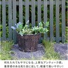EBP-2430-2P-DBR バレルプランター 幅24/30cm FRP製 住まいスタイル 82769350