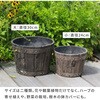 EBP-2430-2P-DBR バレルプランター 幅24/30cm FRP製 住まいスタイル 82769350