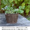 EBP-30-2P-DBR バレルプランター 幅24/30cm FRP製 住まいスタイル 82769359