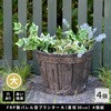 EBP-30-4P-DBR バレルプランター 幅24/30cm FRP製 住まいスタイル 82769420