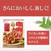 - カリー屋カレー辛口 ハウス食品 82770427