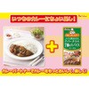- カレーパートナージンジャー、ガーリックと7種のスパイスペースト ハウス食品 82770549