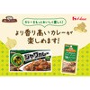 - カレーパートナージンジャー、ガーリックと7種のスパイスペースト ハウス食品 82770549