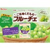- ご当地くだものフルーチェ 4種アソートセット(各1個) ハウス食品 82770655
