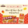 - カレーパートナーマンゴーチャツネペースト ハウス食品 82771337