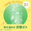 4548514145436 きき湯 マグネシウム炭酸湯パウチ 2個セット バスクリン 82820599