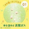 4548514145450 きき湯 食塩炭酸湯 パウチ 2個セット バスクリン 82820669