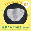 4548514145450 きき湯 食塩炭酸湯 パウチ 2個セット バスクリン 82820669