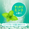 4548514145627 きき湯 清涼ミント 2個セット 分包付 バスクリン 82820687