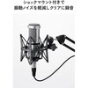 HSWDSZARM02BK マイクアーム マイクスタンド 卓上 伸縮アーム ノイズ軽減 ショックマウント付 角度調節 クランプ式 エレコム 82930045