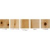PMB2KJ17RYS ライブナチュラルプレミアム for Dog RUSTIC 朝日ウッドテック 82937070