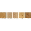 PMB2KJ05S ライブナチュラルプレミアム for Dog STANDARD 朝日ウッドテック 82937079