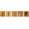 PMB2KJ05RYS ライブナチュラルプレミアム for Dog RUSTIC 朝日ウッドテック 82937097