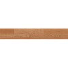 PMB2KJ48S ライブナチュラルプレミアム for Dog STANDARD 朝日ウッドテック 82937106