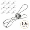 多用途ステンレスピンチ 10センチ級 10個セット ZATTA
