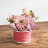 BNR-CUP4 ボヌールカップ HEADS(ヘッズ) 83001725
