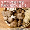 sk-153 網付き竹製梅干しざる丸型 GLOBAL&LOCAL 83057305