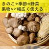sk-158 網付き竹製梅干しざる丸型 GLOBAL&LOCAL 83057330