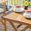 MWF-31TN マリーウッド キャリー タカショー 83059299