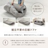 270621840 2WAY 圧縮フロアソファ ルメール 萩原 83115999