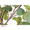 8724-3142 ユーカリ(人工樹木)〔ストエキオリジナル〕 ストア・エキスプレス 83119718