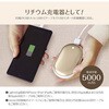 LEW001GD2 充電式エコカイロ ゴールド 多摩電子 83124609