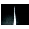 T-TAPE-W-5W-T WXCe-v 50mm 5 AY 83291680