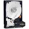 WD5001FZWX �����n�[�h�f�B�X�N 3.5�C���` WD Black Western Digital(�E�G�X�^���f�W�^��) 83376448