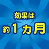 - RoG|bgu^CvT (KINCHO) 55120984