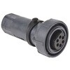 Bulgin 丸型コネクタ， 6極， ケーブルマウント， PXP7010/06S/ST/0709 BULGIN