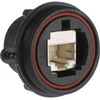 Bulgin RJ45 モジュラーコネクタ， メス， RJ45コネクタ， パネルマウント， CAT5E， Cat6a， PX0833 BULGIN