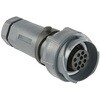 Bulgin 丸型コネクタ， 6極， ケーブルマウント， PXP7011/06S/ST/0709 BULGIN