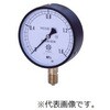 IPT一般圧力計 AS1/2-100：30MPA 第一計器