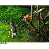 PS7525 R[h|[`F[\[ BLACK&DECKER 84098798