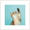 アートトワレ ねこ アートトワレ