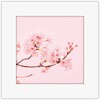 アートトワレ 桜 アートトワレ