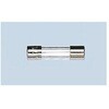 312.100P ���e���q���[�Y �K���X�ǃq���[�Y 100mA ���f�^ 6.3x32mm 1�� 10�� LITTELFUSE 84300206