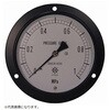 IPT一般圧力計 DU3/8-100：1MPA 第一計器