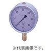 GRKグリセリン入圧力計 G-AU1/4-60：25MPA 第一計器