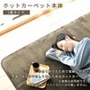 EUC-101 ホットカーペット 本体 小さく折りたためる YAMAZEN(山善) 84689817