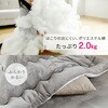 AKF-2024(SG/IV) リバーシブル こたつ布団 長方形 120×80用 フランネル調 YAMAZEN(山善) 84725289