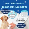 4994527890908 JOYPET(ジョイペット) ボディータオルペット用 各種 JOYPET 84894778