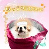 4994527911405 愛犬用 炭酸入浴剤ぬくりん 各種 アースペット 84894839