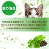 4973293373181 JOYPET(ジョイペット)天然成分消臭剤ネコのフン・オシッコ臭専用 各種 JOYPET 84894875