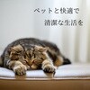 4973293373181 JOYPET(ジョイペット)天然成分消臭剤ネコのフン・オシッコ臭専用 各種 JOYPET 84894875