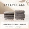 4903301383321 ソフランアロマリッチモーア 柔軟剤 本体 詰替 各種 LION(ライオン) 84896117