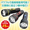 51875 LED懐中電灯(3色アソート) グリーンオーナメント 85219856