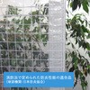 防炎格子入り透明シート キョーワ(ネット)