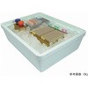 IPAN-3200 ACXp sN IPANV[Y Diversified Biotech 86445566